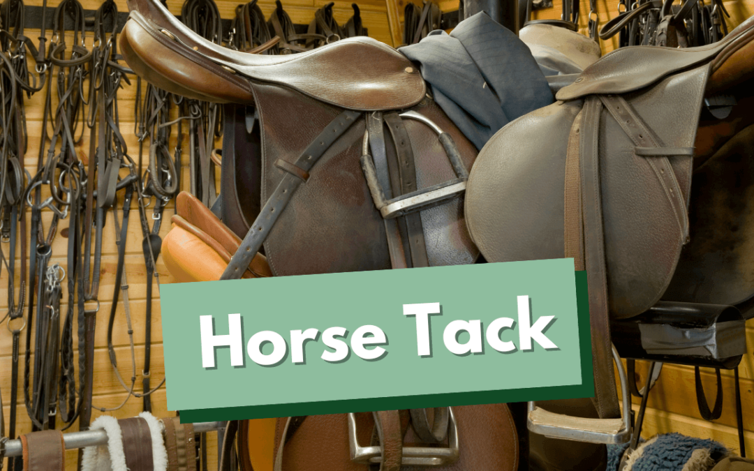 What Is Horse Tack